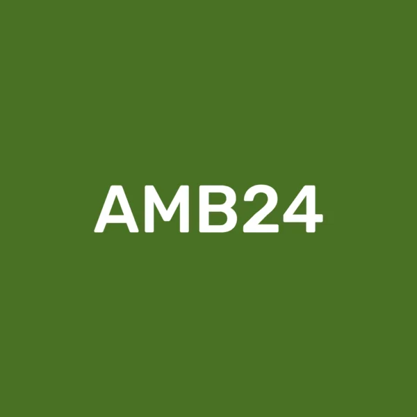 Olive Adult Wrist Wallet AMB24 Color